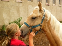 Mini zoologická záhrada v Kráľovej