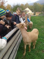 Ekologická farma a gazdovský dvor