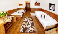 Hotel vo Veľkej Lomnici