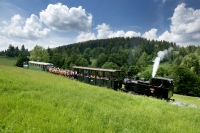 orava6